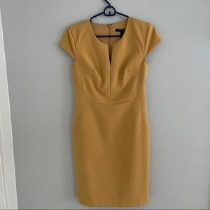 Banana Republic Marigold Dress